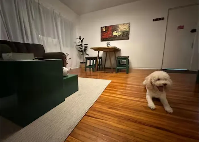 Precioso Departamento En Condesa Appartamento